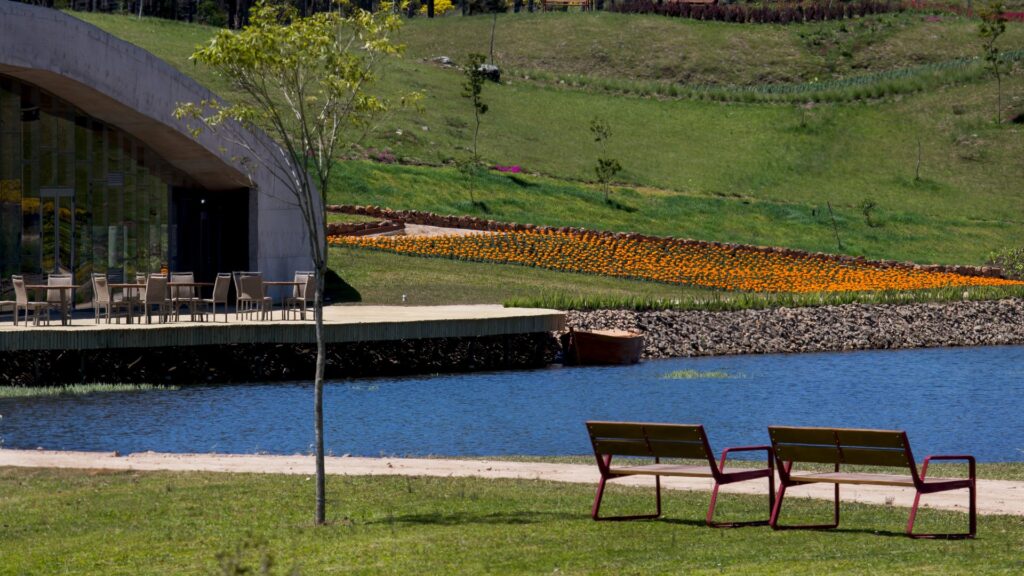 Banco Bailo junto a un lago. Disset Urban