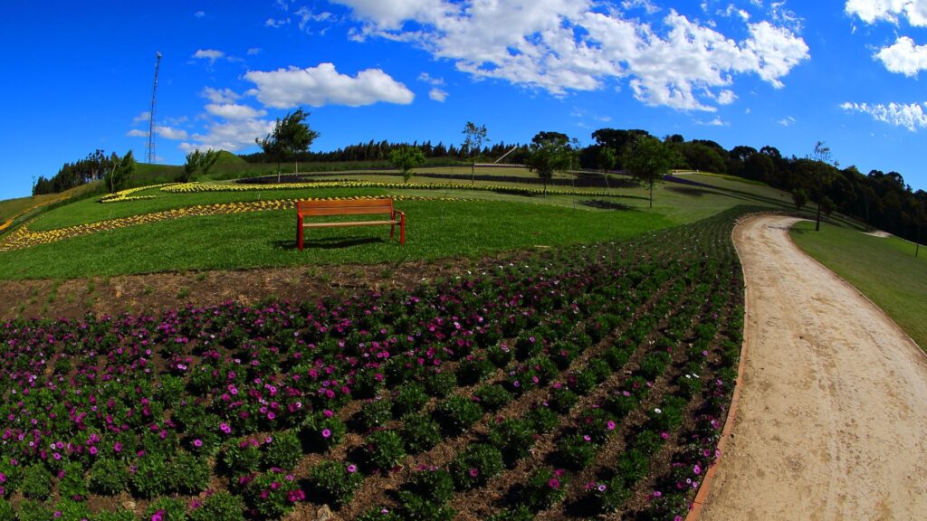 Banco Bailo junto a senderos y jardines florales, Disset Urban