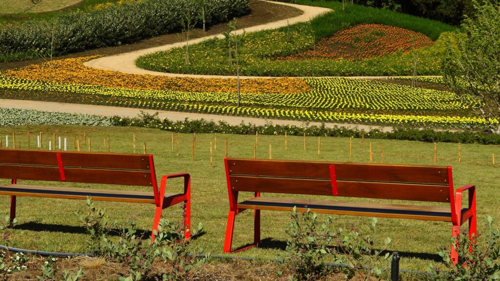 Parque exterior, Banco Bailo, Disset Urban