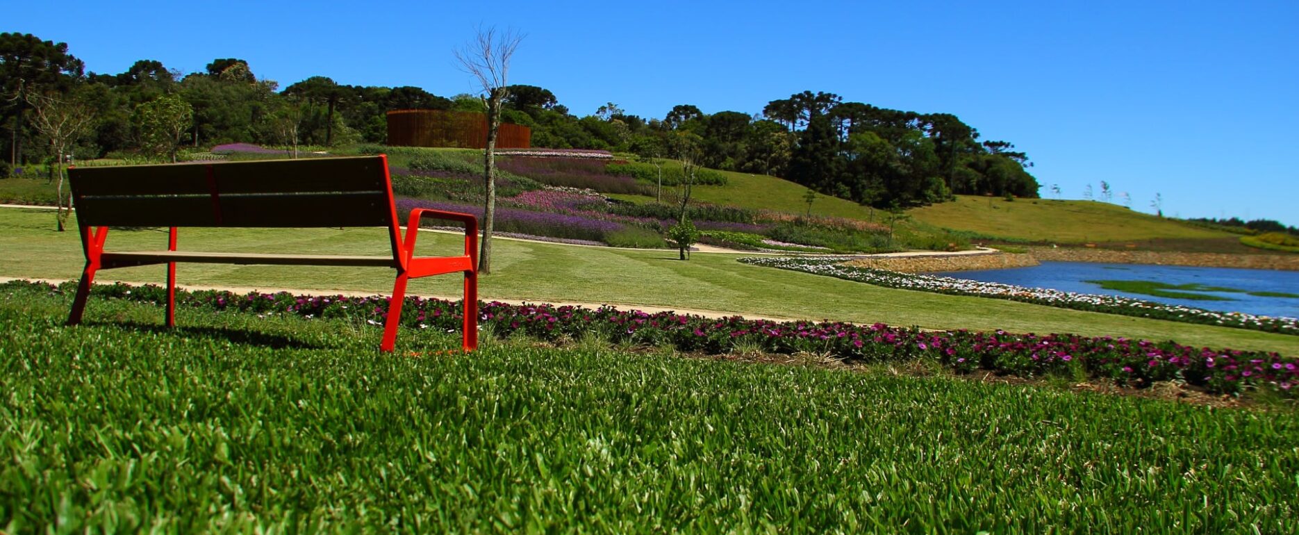 Area de contemplación con Banco Bailo en parque floral, DissetUrban
