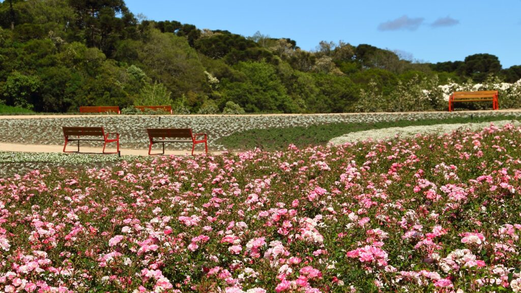 Banco Bailo en zona de estancia rodeada de naturaleza, Disset Urban