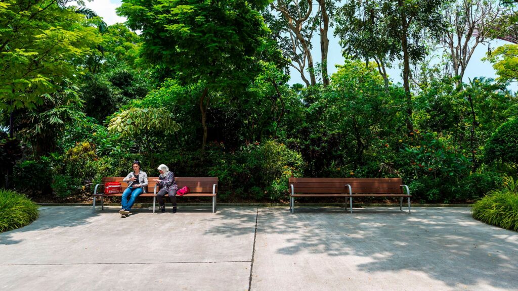 Bancos entre vegetación tropical, Riva, Disset Urban